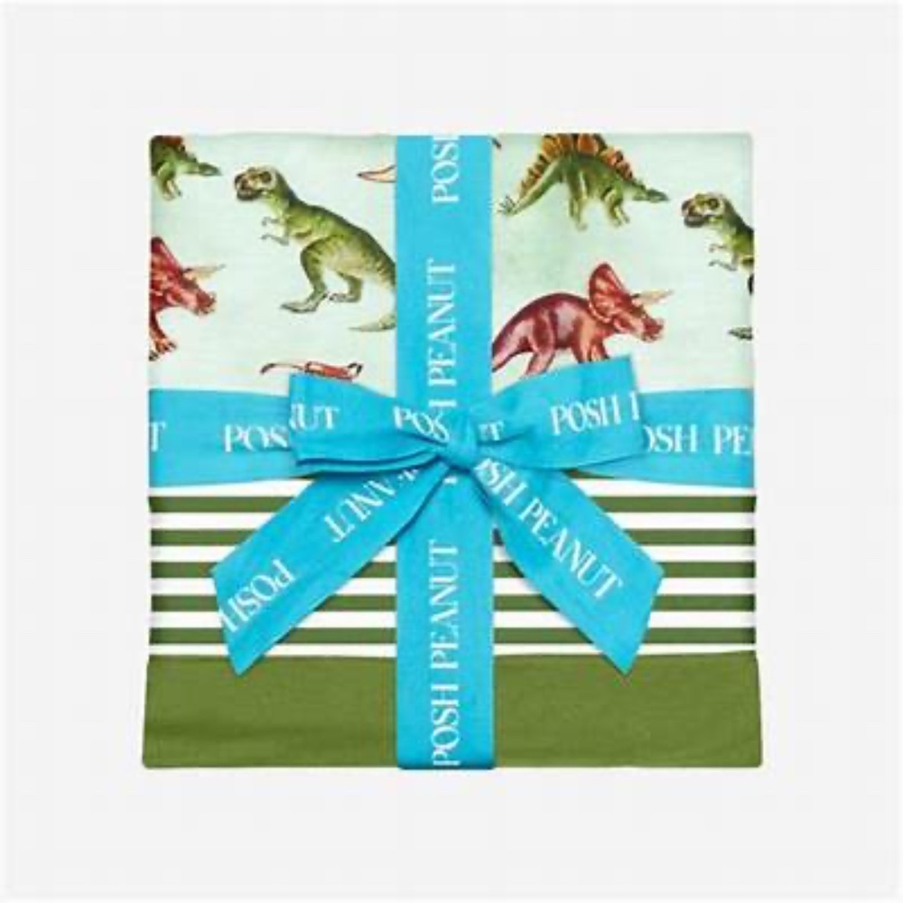 New w/o tags Posh Peanut Classic Patoo Blanket Dinosaur Green Stripes “Buddy”